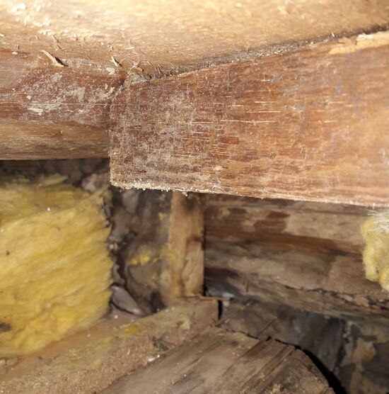 Arbeitsbeispiel Holzschutz